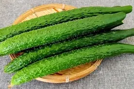 每天一根黄瓜，对血糖有何影响？医生说出实情，不妨了解图片