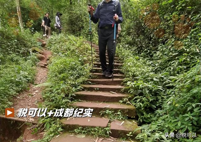 成都也有摩崖石窟！大邑药师岩的悬崖上，藏着上千尊石刻造像！