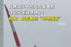 震撼！运镜拍风力发电机如旱地拔葱图片