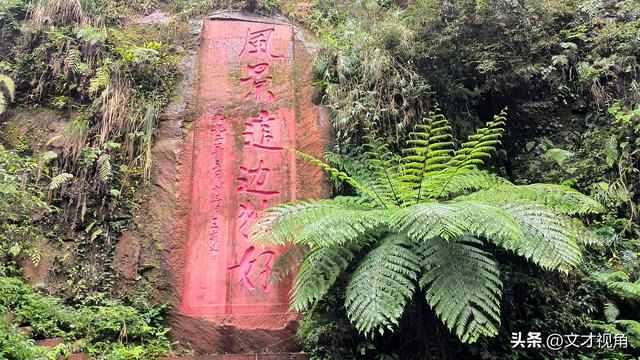 王文才：贵州赤水瀑布的独特魅力(文案)