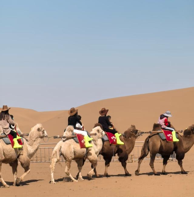 我是上海人，刚游完银川影视城沙坡头，憋了几个感受不吐不快。