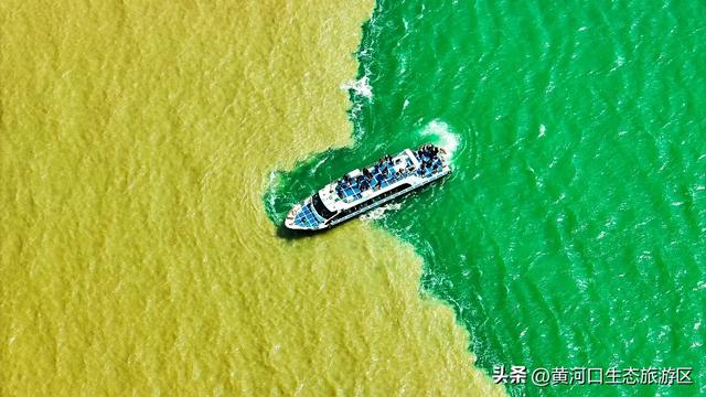【情满双节游东营】黄河口生态旅游区2025国庆假期活动 大揭秘！速来围观！