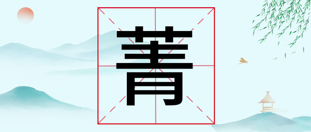 芜菁的“菁”字很多人误读qīng了，那怎么读？又是什么东西呢