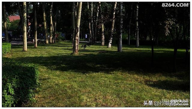 山东行游影记（15）—济南山东大学（二）