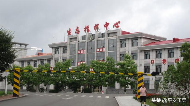 东方红，我拿什么来爱你（上） “东方红”名字的起源