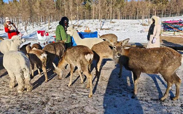 游览乌兰布统影视外景基地