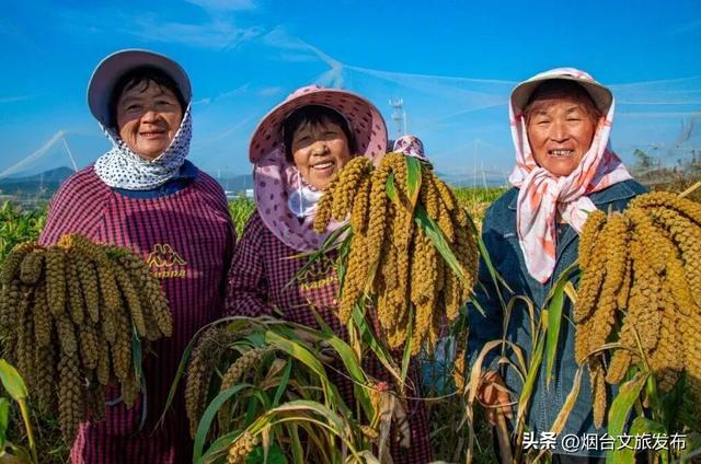 【乐游烟台】十月好去处丨别眨眼！接下来的烟台美到封神