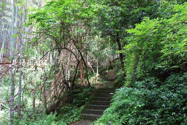 浙江宁波的4A级风景区，峡谷瀑布成为亮点，清静凉爽游玩很惬意
