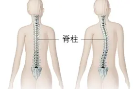 直拍握拍撑起腰杆理论图片