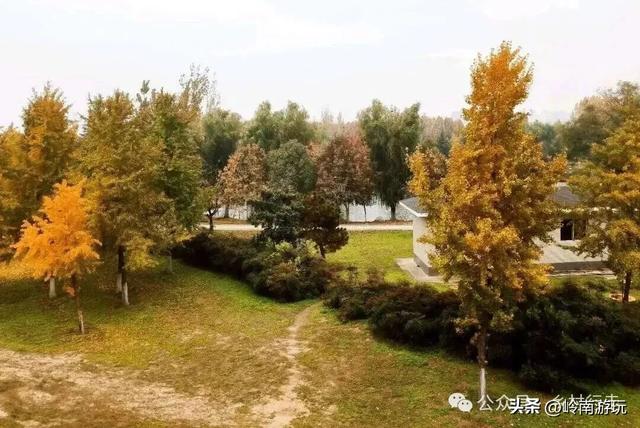 全部免费！渭河南河堤路赏秋攻略大全，那风景简直美爆了！