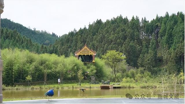 孔雀世界景区通过国家3A级旅游景区评定！