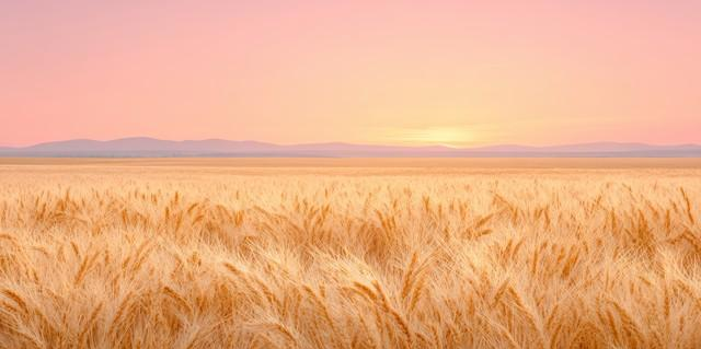 一个人进入上升期的征兆： 锱铢必较