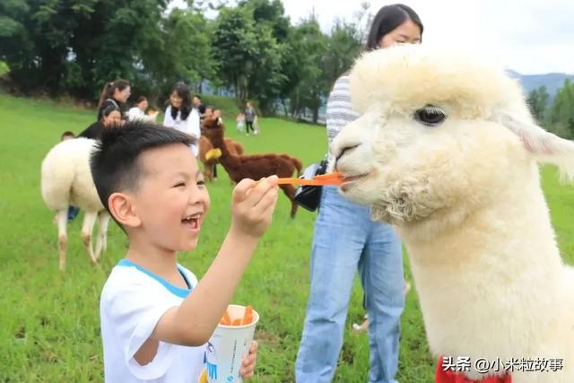 《乌蒙深处》邀你打卡贵州秘境:这里的山水比电视里还要美!