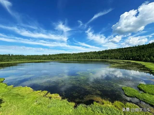 在阿尔山，邂逅一个22℃的夏天