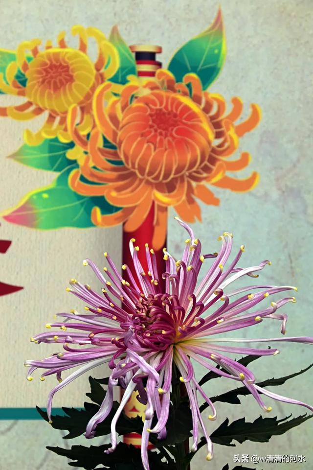 菊花是秋天里绝美的画卷