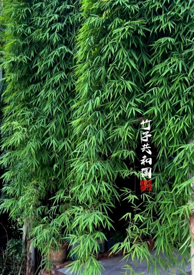 不要再去看黄果树瀑布了！