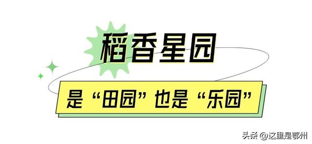 上新！鄂州新增一座“农场乐园”
