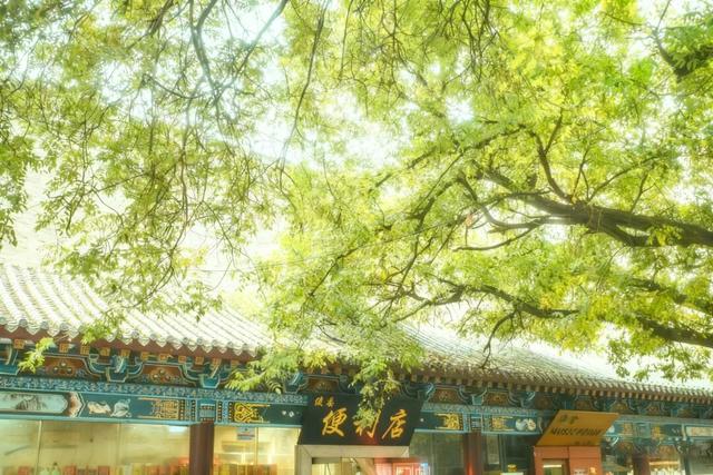 灞桥折柳、曲江流饮，这些路名藏着唐诗密码……