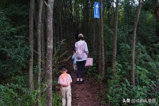 成都适合秋天的5条徒步线！随时出发