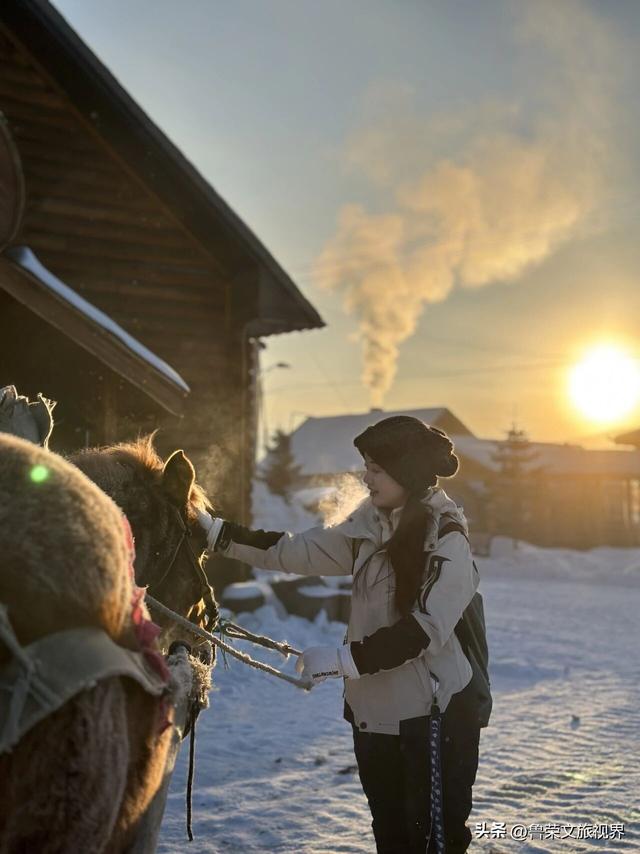 漠河六景漫游指南：从白桦林到驯鹿园，解锁极北冰雪童话