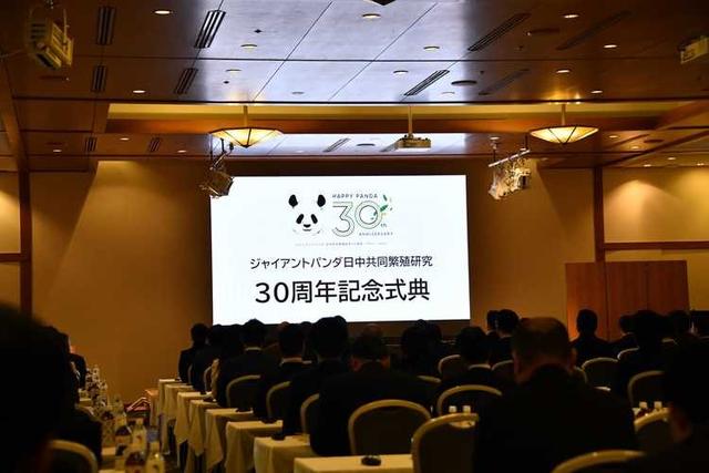 最后两只熊猫打包回国，高市早苗一句狂言，换300亿日元天价账单