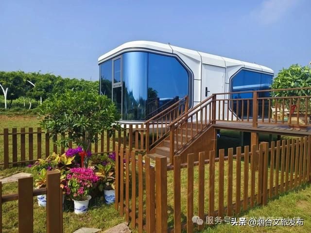 【乐游烟台】室外免费啦！烟台避暑家庭游圣地——张裕柳林河谷景区焕新升级！