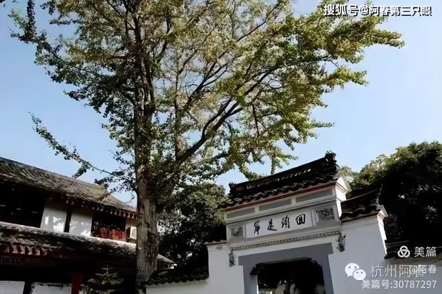 海天佛国 普陀山