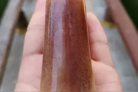 牛羊骨文玩算什么？这种骨头全身是宝！图片