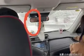 解清帅开车带妈妈妹妹一起去公司聚餐，解妈一个举动令人心疼呀！图片