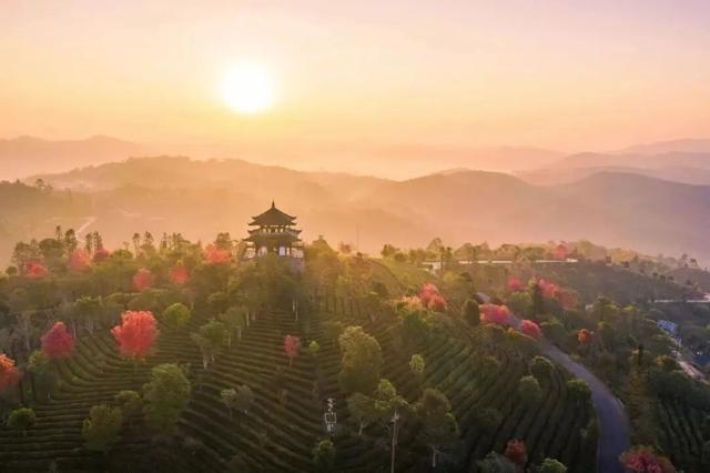 车轮停转，茶香登场！除了骑行，普洱的这些地方你值得去→