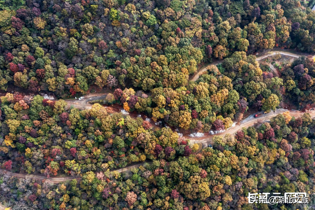 评分秋色：随州为啥被称为“杏”运城市？