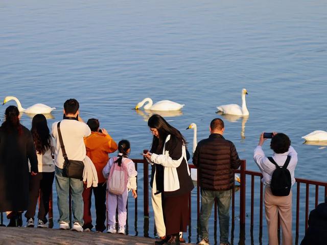 冬日周六晴好，邂逅热闹苍龙湖