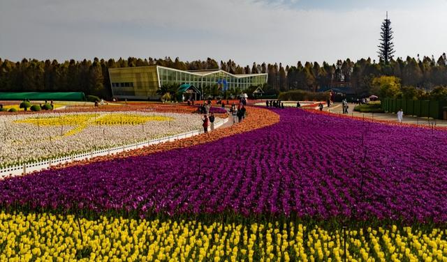 新新新新新新！滇池旅游黄金岸线的“含新量”在哪？一文读懂→