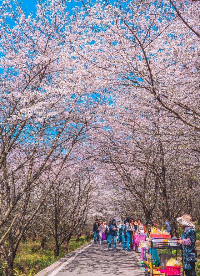 国庆遛娃别发愁！江浙沪这8个宝藏农场，体验田园乐趣！