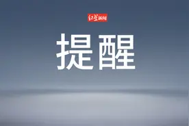 中国驻以色列使馆：在以中国公民切勿“打黑工”，以免个人权益受损图片