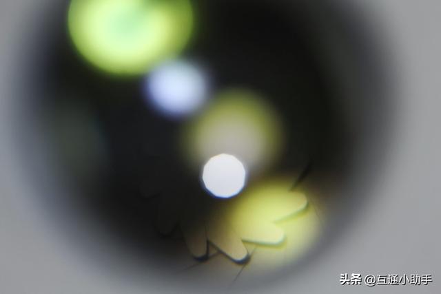 腾龙 90mm F/2.8 Di III MACRO VXD 上手使用体验
