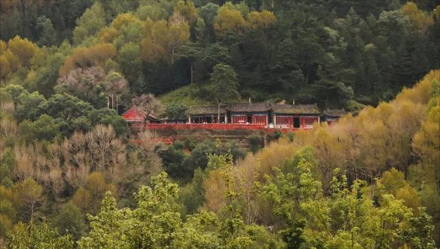 【文明旅游】山西：五台山的秋天，太治愈了！