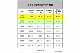 广西gdp第三城角逐：桂林、玉林的GDP较量图片