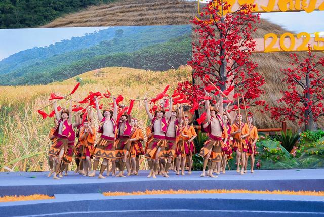 绘就雨林共生新画卷：2025年“雨林与您”体验活动盛大启幕