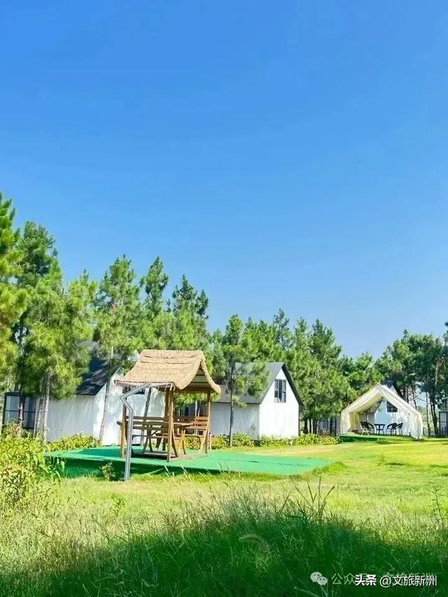 双节畅游新洲 | 不扎堆！快来领取新洲小众玩法，人少景美还出片！