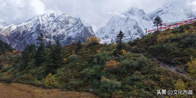 秋天不去西藏玉许乡，真的会遗憾一整年！3日沉浸式漫游指南送你！