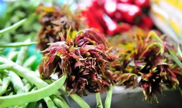 野菜美味背后的真相,苦菜荠菜小心致癌,被警告不再贪吃