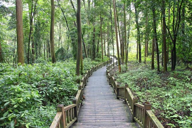 登高赏秋！成都6个免费爬山好去处推荐！