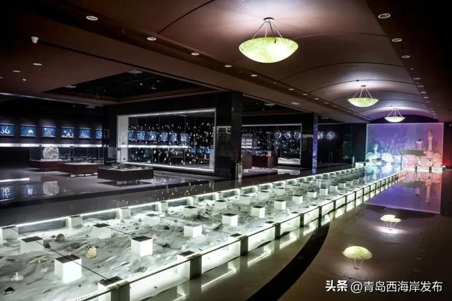 “冬游西海岸”!5条热门线路等你来🤩