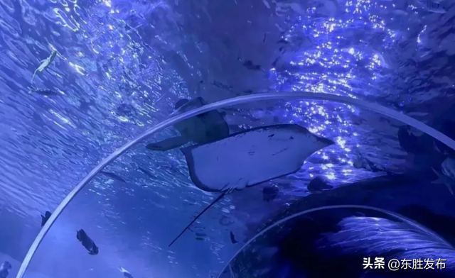 速来！半价特惠！