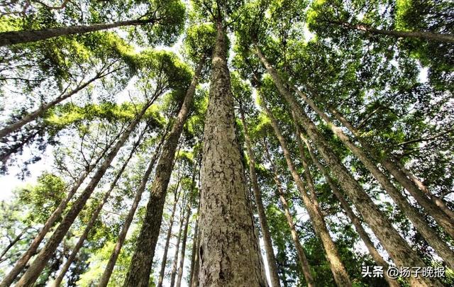 @江苏十三太保，永州这些景点免费了