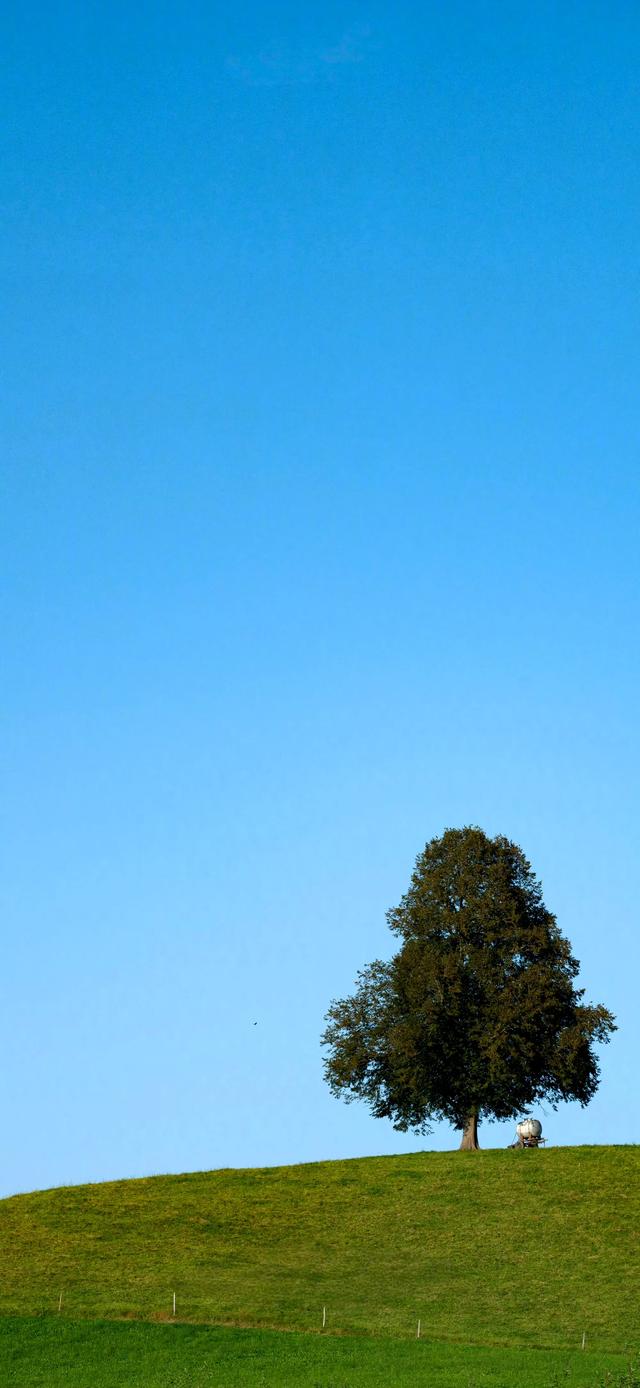 手机壁纸|风景