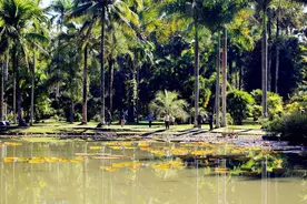 史上第一奇葩蛇，一年只拉一次屎！靠撑死敌人来抵御天敌！图片