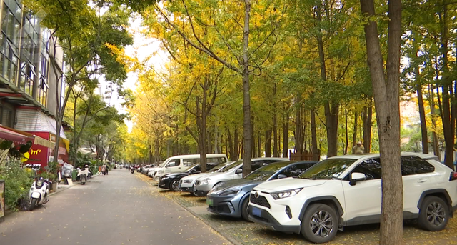 谁懂啊！昆明把冬天过成童话：观鸥、赏银杏、逛市集还能炫咖啡！