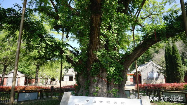 泗水必看的旅游路线来了！